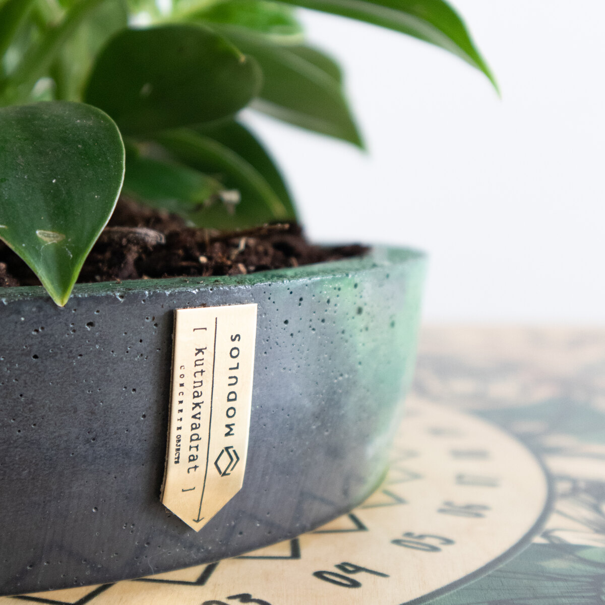 Kalendar zalijevanja — Botanical
